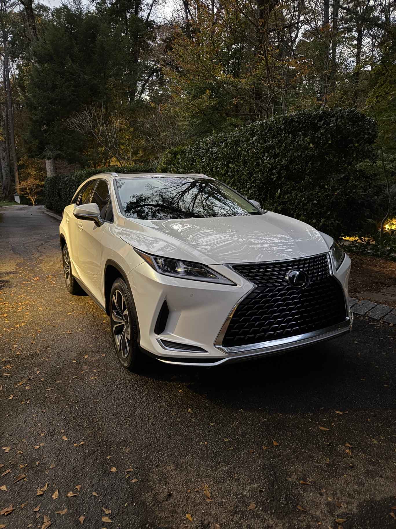 Lexus RX detailed on-site