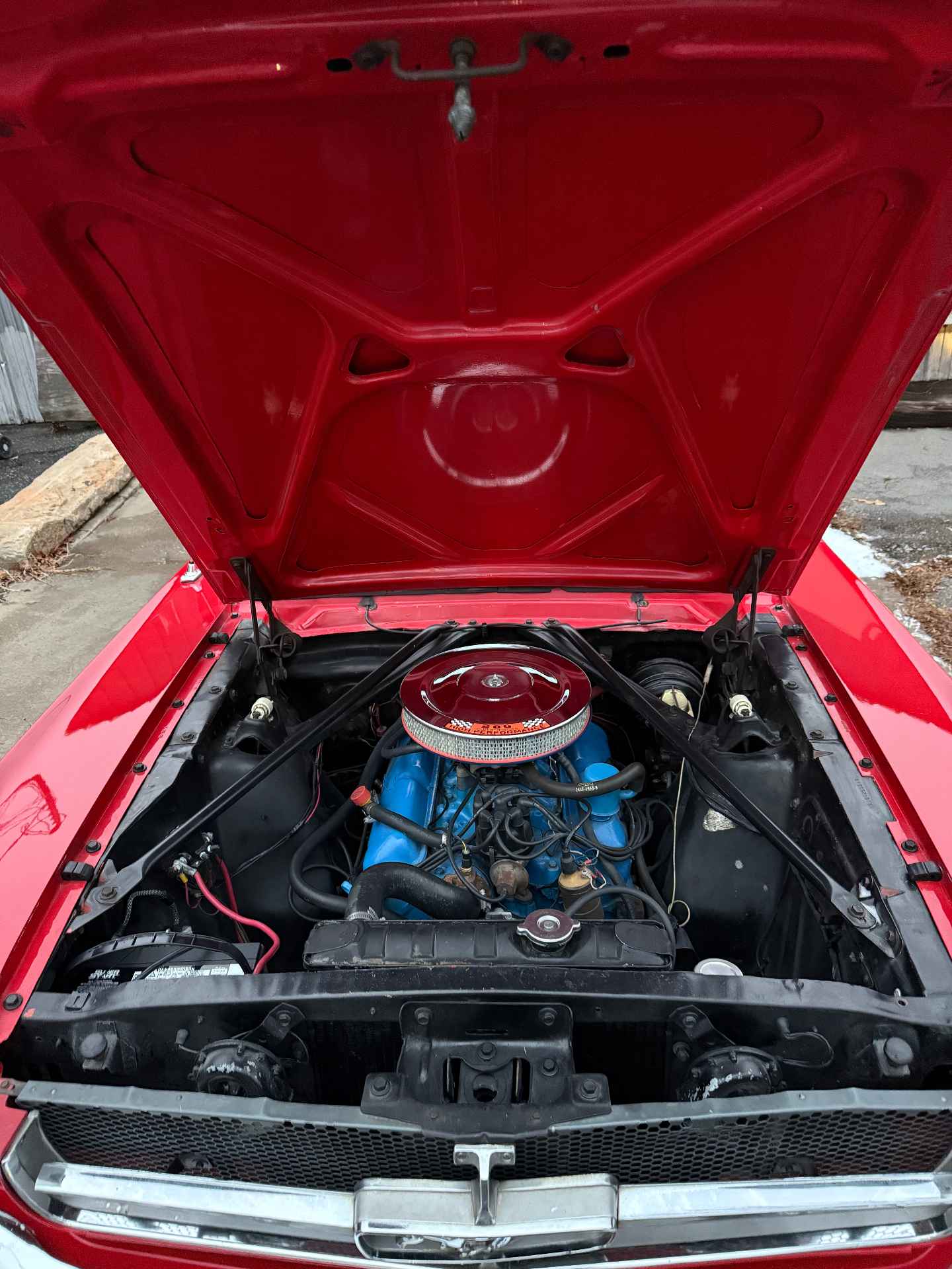 Mustang engine bay detailed for judging