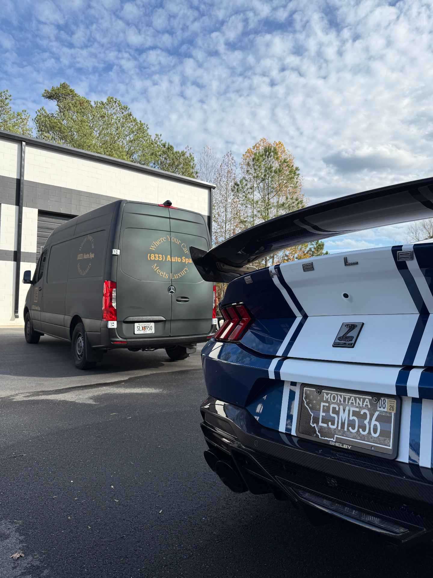Shelby GT500 after paint correction